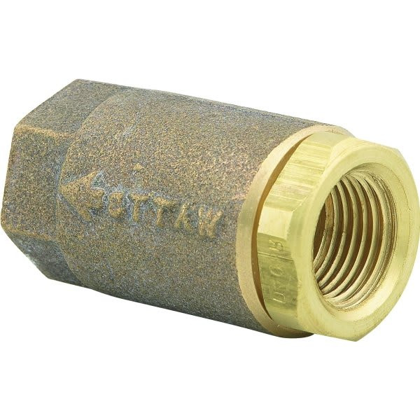 Watts 3/4" Npt Bronze  Ball-Cone Check Valve