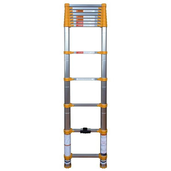 Xtend + Climb 12.5 Telescoping Ladder