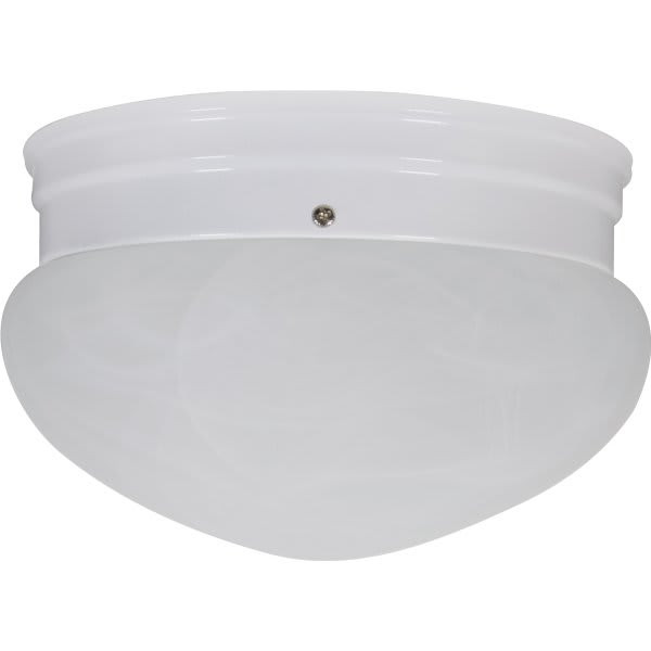 9 In. 2-Light Ceiling Led Flush Mount Light