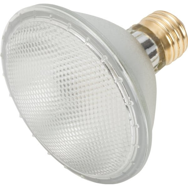 70w Par30 Halogen Flood Bulb (6-Pack)