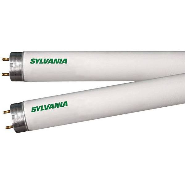 Sylvania 28 W Cool White Linear T8 Bi-Pin Fluorescent Light Bulb, Case Of 30