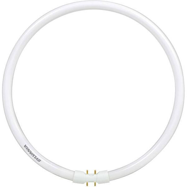 Sylvania 12 In. 55 W Warm White Circline T5 Fluorescent Tube Light Bulb (1-Bulb)
