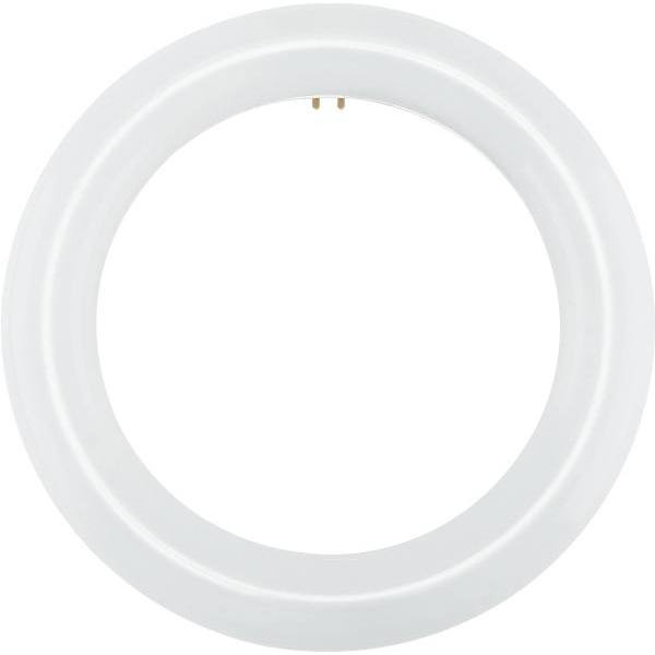 Satco 5w Equiv. T9 4-Pin Base Circline Led Light Bulb (Warm White)