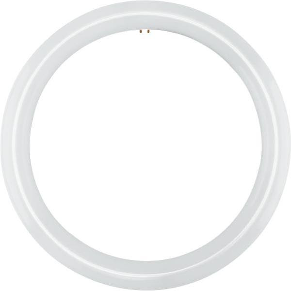 Satco 100w Equiv. T9 4-Pin Base Circline Led Light Bulb (Daylight)