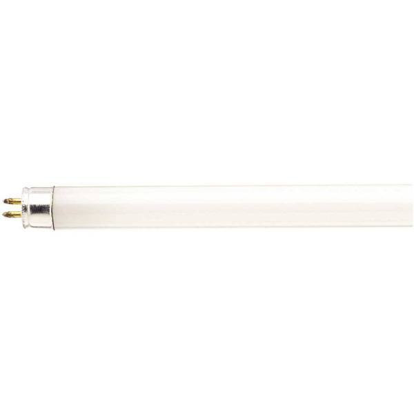 Satco 13w 21 In. Linear T5 Mini Bi-Pin Base Tube Light Bulb (Cool White) (10-Pack)