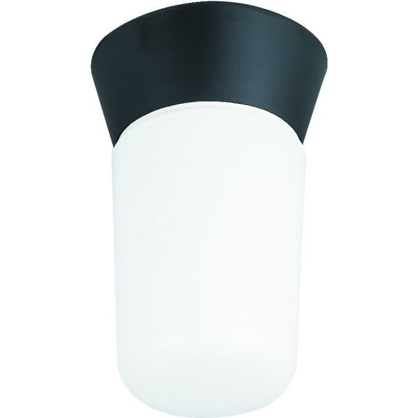 Satco 4.25 In. 1-Light Outdoor Ceiling Light (Black)