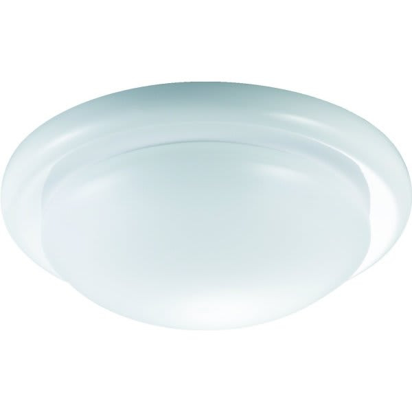 Seasons 2-Light Incandescent Flush Mount Light W/ Frosted Glass (White)