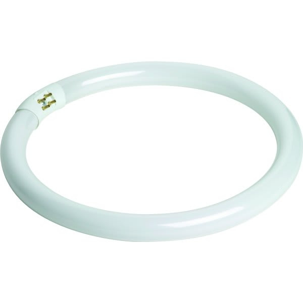 Fluorescent Bulb, 27 Watt, T6 Circline, 2,700k