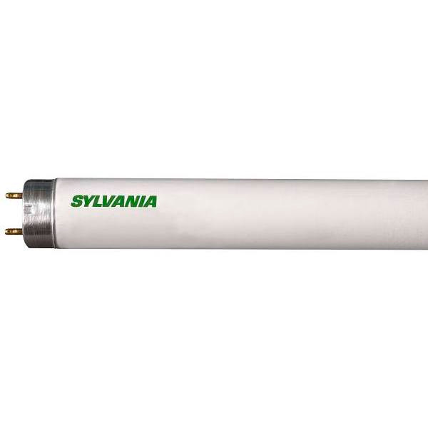 Sylvania 4 Ft. 32 W Daylight Linear T8 Fluorescent Tube Light Bulb (1-Bulb)