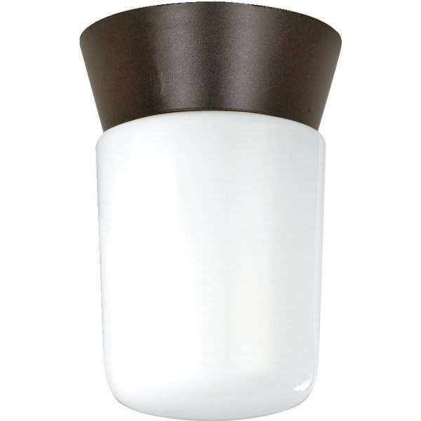 Satco Nuvo Sf77/156 4.25 In. 1-Light Outdoor Ceiling Light