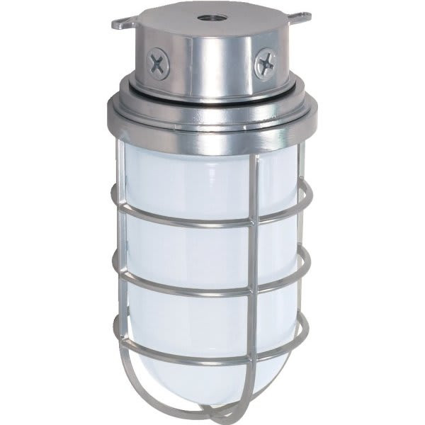 Satco Nuvo Metallic Silver One-Light 11 Industrial Surface Mount, Frosted Glass