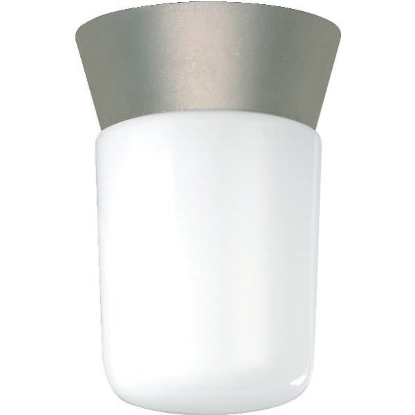 Satco Nuvo 4.25 In. 1-Light Outdoor Ceiling Light (Satin Aluminum)