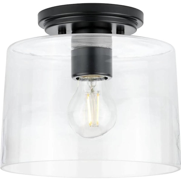 Progress Lighting Adley 1-Light Indoor Flush Mount, 8.6", Matte Black, Clear