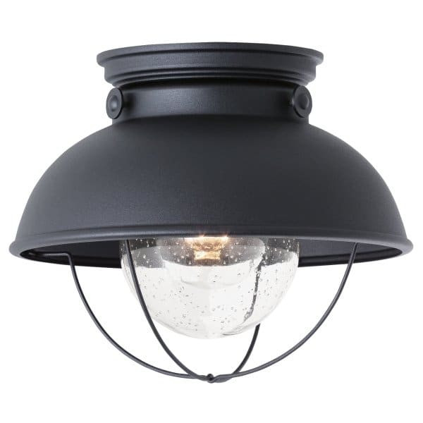 Generation Lighting 11.25 In. 1-Light Flush Mount Ceiling Light (Black)