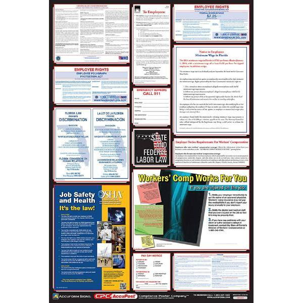Accuform Poster Combo Federal-State OSHA Labor Law 40"X27" Lam Plastic De