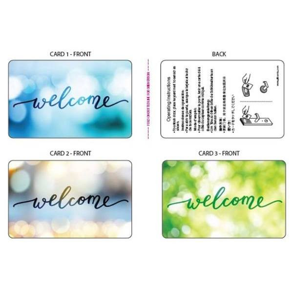 Generic RFID Key Card Case Of 250