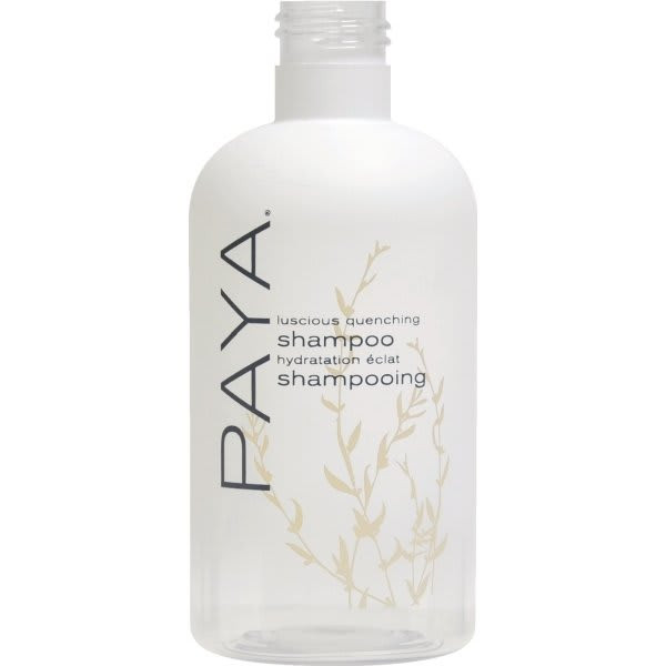 Ready Care Paya Eco Eclipse Replacement Bottle, Shampoo, Case Of 12