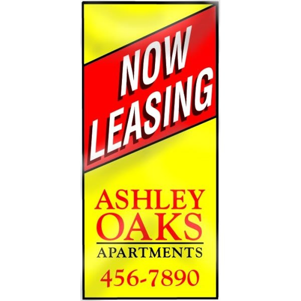 Double-Sided Custom Boulevard Banner, 30 X 60