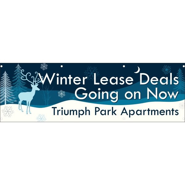 Semi-Custom Banner, Snowy Night, 10' X 3'