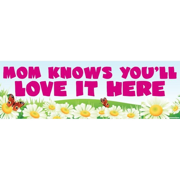 Banner, Mom Knows, 10' X 3'