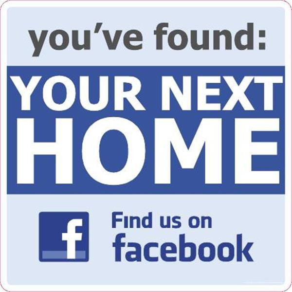 Coroplast Semi-Custom Yard Sign, Networking, 32 X 32