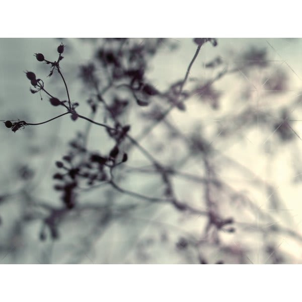 Red Roof Inn Branches & Berries 36wx24h Espresso Framed Artwork