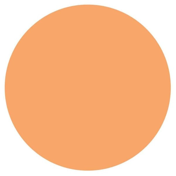 Rrd Paper Circle 3" Dia Flourescent Orange