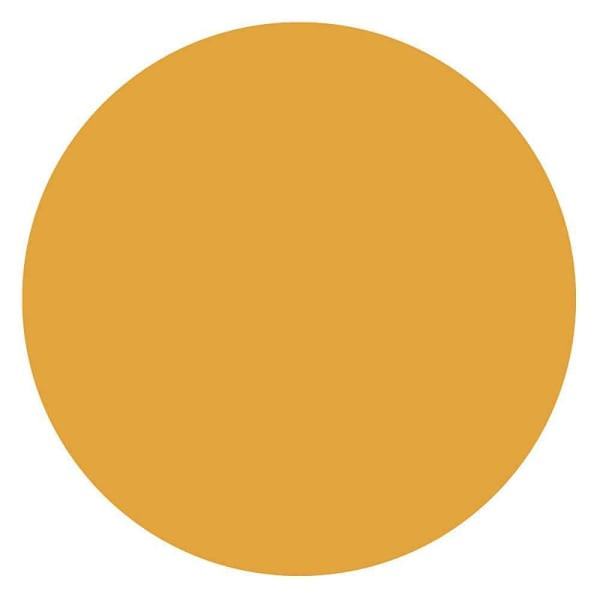 Rrd Paper Circles 1/2"Fl Orng
