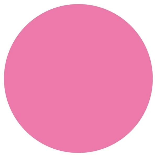 Rrd Paper Circles 3/4" Fl Pink