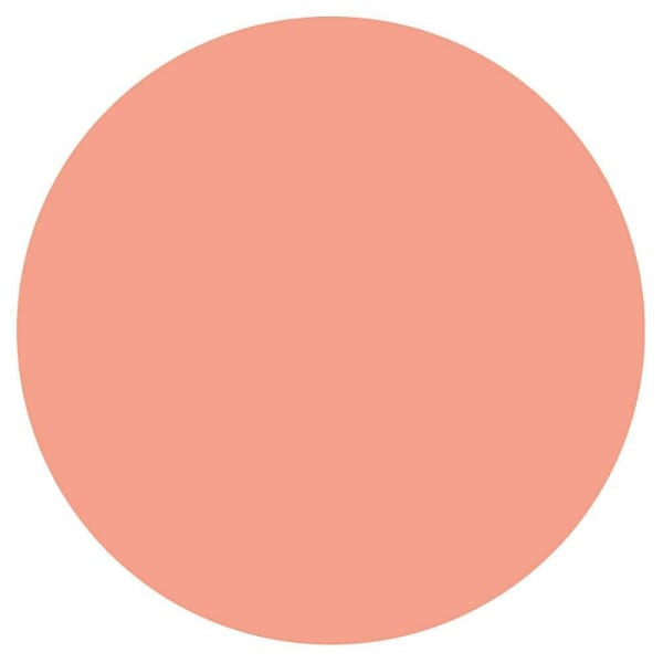 Rrd Paper Circles 3/4" Lt Orange