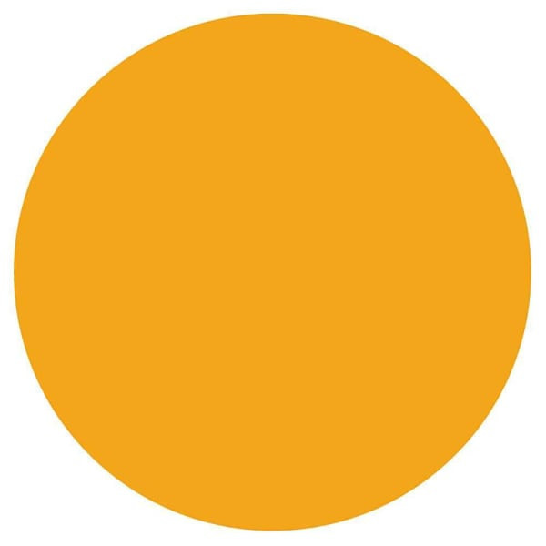 Rrd Paper Circles 3/4"Fl Orng