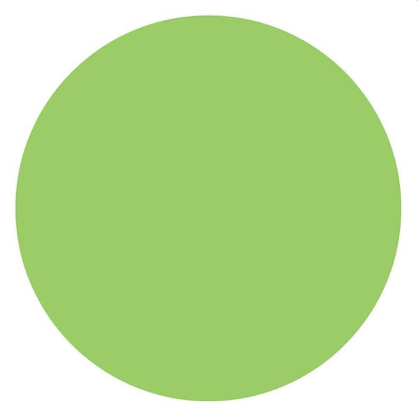 Rrd Perm. Paper Circles 1" Fl Grn