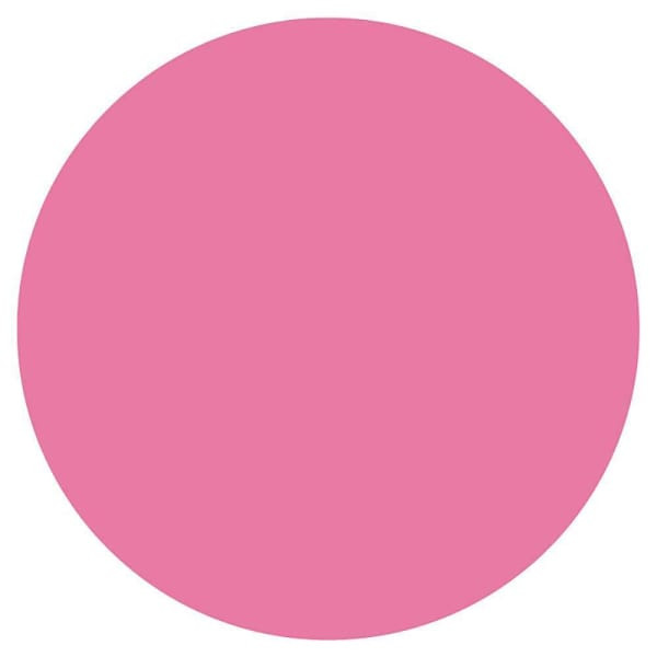 Rrd Vinyl Circle 3/4" Dia Pink