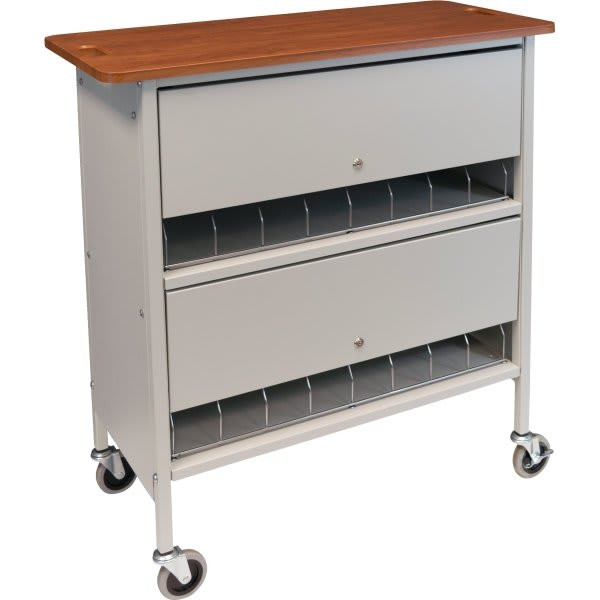 Omnimed Artisan Privacy Cabinet Chart Rack, 16 Cap, Cherry Thermofoil Top, Beige