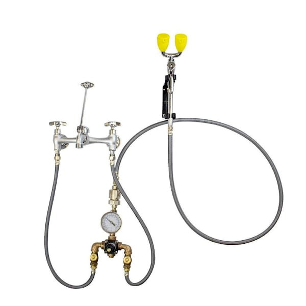 Speakman Sef-9000-Tw Eyesaver Service Sink Eyewash Faucet With Eyewash Tmv