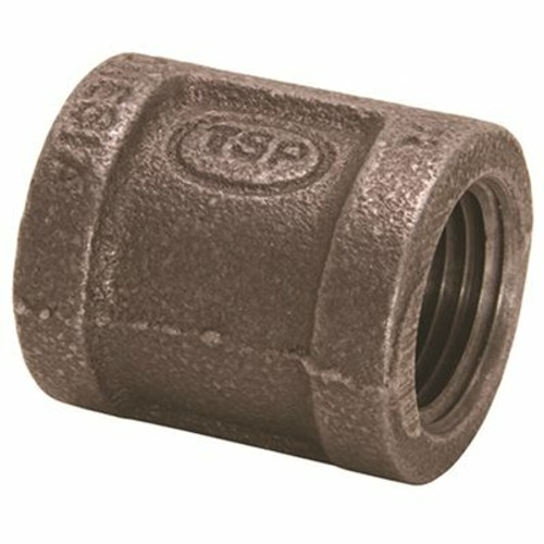 ProPlus 3/4 in. Black Malleable Coupling