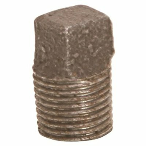 ProPlus 3/4 in. Black Malleable Plug