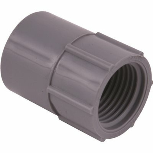 Carlon 1 in. PVC Female Adapter- Standard Fitting (Case of 10)