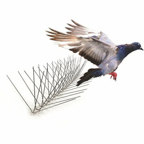 Bird-X 10 ft. Original Stainless Steel Bird Spikes Pigeons Starling Blackbirds Seagulls 6 in. Coverage Bird-X 10 ft. Original Stainless Steel Bird Spikes Pigeons Starling Blackbirds Seagulls 6 in. Coverage