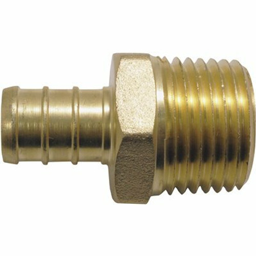 Apollo 1/2 in. Brass PEX-B Barb x 1/2 in. Male Pipe Thread Adapter