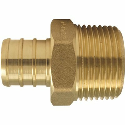 Apollo 3/4 in. Brass PEX-B Barb x 3/4 in. Male Pipe Thread Adapter (5-Pack)