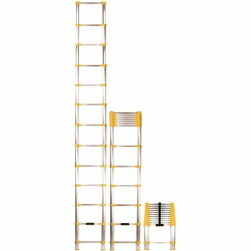 12.5 ft. Aluminum Telescoping Extension Ladder (16.5 Reach Height), 250 lbs. Load Capacity ANSI Type 1 Duty Rating