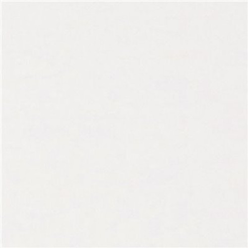 SpectraTile Finale Waterproof Ceiling Tile 2 ft. x 4 ft. White (Pack of 10)
