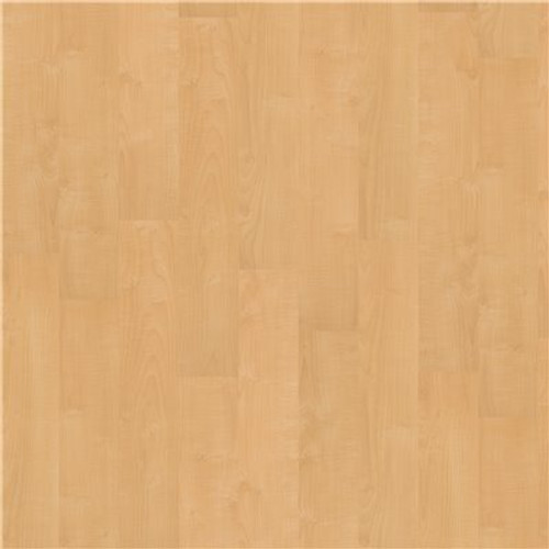 Shaw Vermont Rutland 6 in. x 36 in. Glue Down Luxury Vinyl Plank (44.56 sq. ft./case)