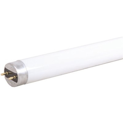 Halco 4' 14-Watt T8 Non-Dimmable Type B LED Linear Bulb Cool White Case Of 10