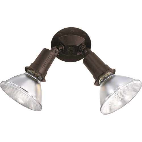 SATCO Nuvo Bronze 2-Light 10 Exterior Par38 Flood Light With Adjustable Swivel