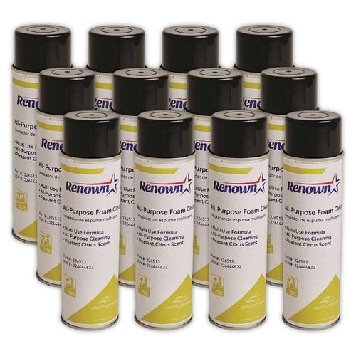 Renown All-Purpose Foam Cleaner, Aerosol, 19 Oz., Case Of 12