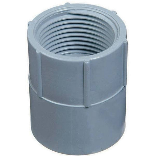 Carlon 3/4 In. Female Adapter