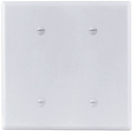 Titan3 White Smooth 2-Gang Blank Standard Metal Wall Plate
