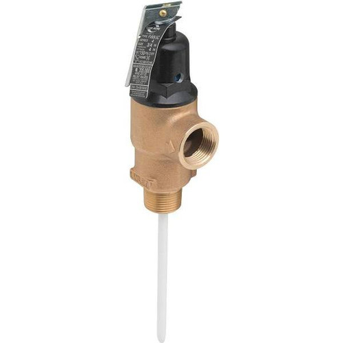 Cash Acme 3/4 In. Mip Commercial T&p Relief Valve